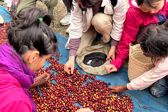 coffee_fairtrade